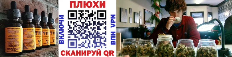 KRAKEN онион  Заречный  Cannafood конопля  где найти наркотики 