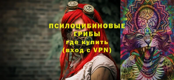 винт Вяземский