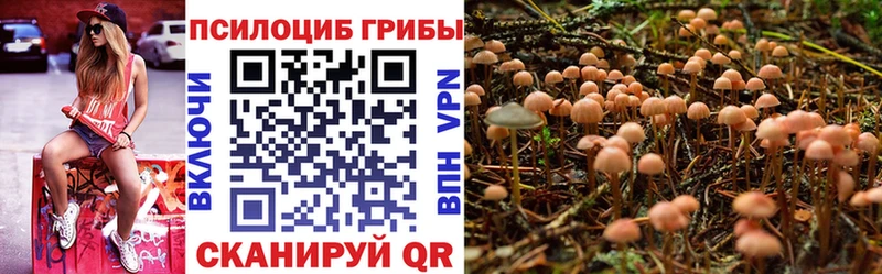 сайты даркнета как зайти  наркота  Заречный  Галлюциногенные грибы Cubensis 